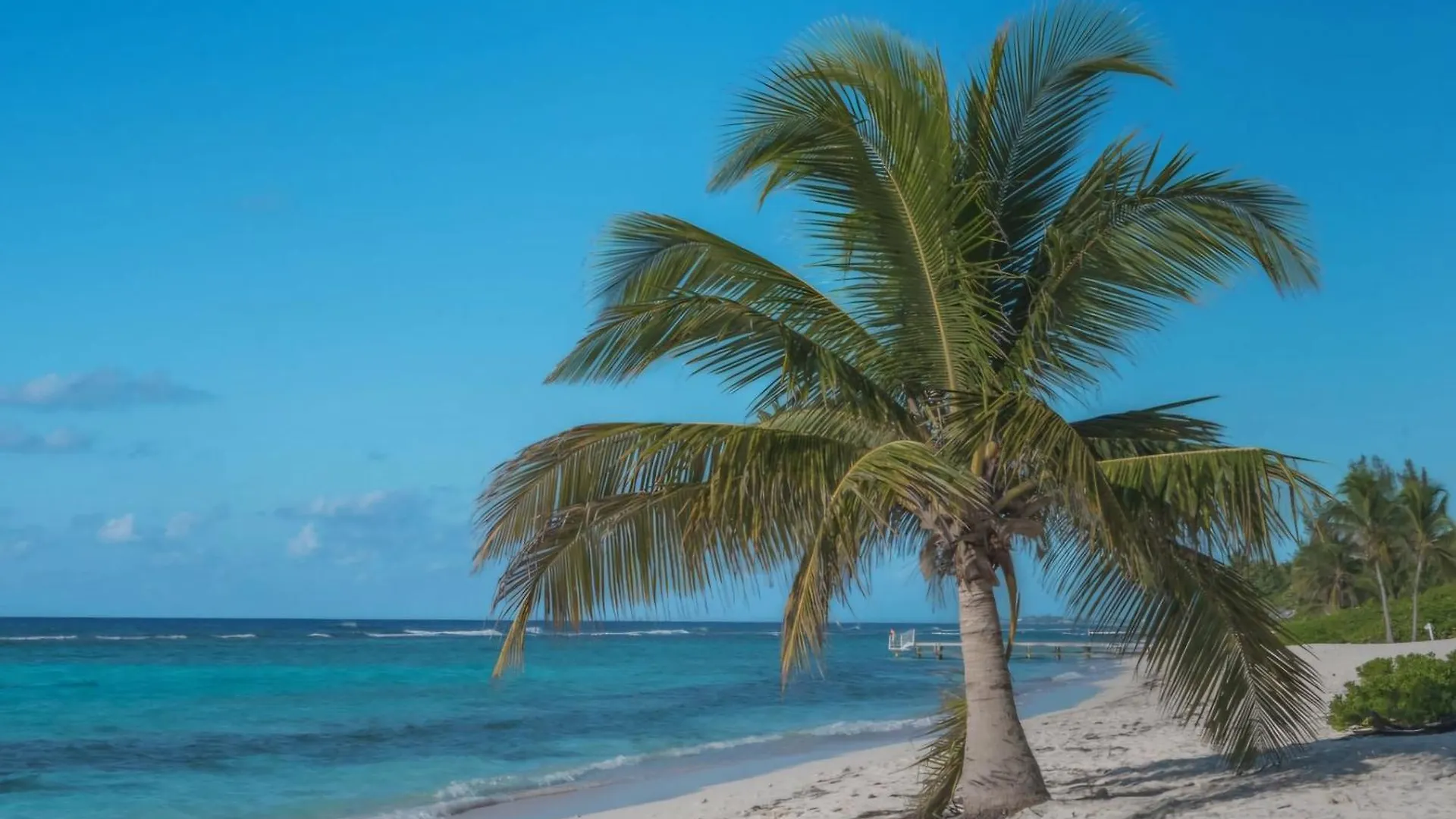 Sunparadise345 George Town 0*,  Cayman Islands